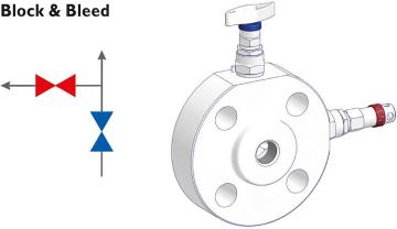 AS-Schneider Enstruman Monoflanşlar