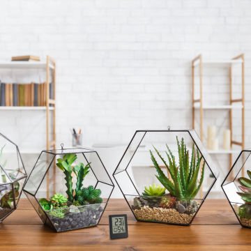 Dijital termo-higrometre 30.5039 siyah